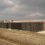 trays voor de aardbeienplanten