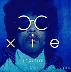 Xie Eyewear Venlo - Opticien voor optometrie, brillen, zonnebrillen & contactlenzen