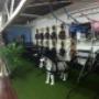 Verdieping met sulky's en tuigen