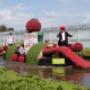 Varend Corso Smaakmuseum
