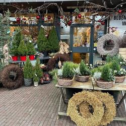 Bloemenatelier Waalre Vof