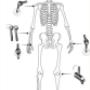 Nijhuis Manuele Therapie Drs H J