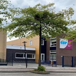 Capelse Schoolvereniging