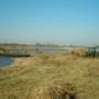 riet opruimen