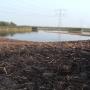 natuurproject