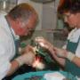 DAP Het Poppinck