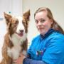 Dierenartsenpraktijk Moerstraten