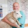 Dierenartsenpraktijk Moerstraten