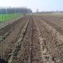 Alblas Hovenier C J
