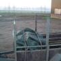 Alblas Hovenier C J