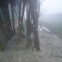 Alblas Hovenier C J
