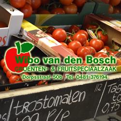 Bosch Wibo Vd