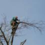 Tuinservice Werf vd