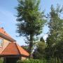 Tuinservice Werf vd