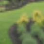 Tuinservice Werf vd