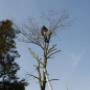 Tuinservice Werf vd