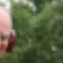Tuinservice Werf vd