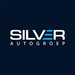 Autoschade Silver