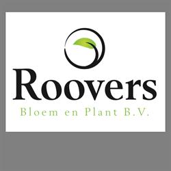 Roovers Bloem en Plant