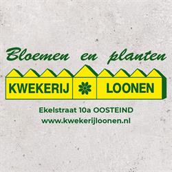 Loonen Kwekerij