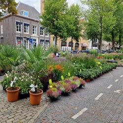 S Van Soeren