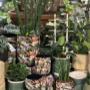 Intratuin Weert Potten