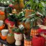 Intratuin Weert Fun potterie