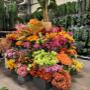 Intratuin Weert Kunstbloemen & Kunstplanten