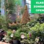 Intratuin Weert - Elke zondag open