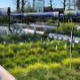 Intratuin Weert Buitenplanten