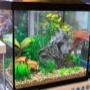 Intratuin Weert Aquarium