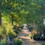Intratuin Weert Tuinplanten Vaste planten & Heesters