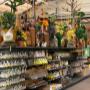 Intratuin Weert Paasdecoratie