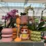Intratuin Weert Woonaccessoires