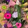Intratuin Weert Bloemenwinkel