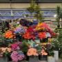Intratuin Weert Kunstbloemen