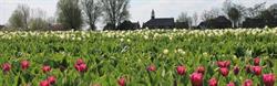 Fivelhoes Dorpshuis 't
