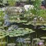 Bloklandse Paal Tuincentrum De