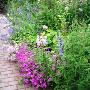 Bloklandse Paal Tuincentrum De