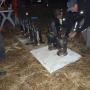 Assurantiekantoor A P van Teijlingen BV / Speed Secure