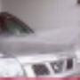 Schilder Autobedrijf Nissan Dealer Herman