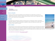 Business in Balance Advisering Coaching Detachering Training