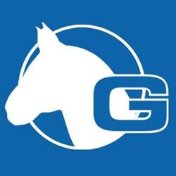Gierman Ruitersport en Zadelmakerij