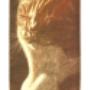 Zonnetje - 5 x 10 - € 40