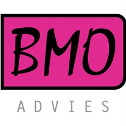 Bmo (Brede Management Ondersteuning)