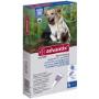 Westeinder Dierenartsenpraktijk