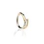 Juwelier Goudsmid Ooms