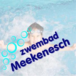Meekenesch Zwembad 't
