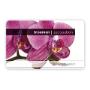 Maike Bloemen & Wonen