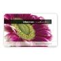 Maike Bloemen & Wonen